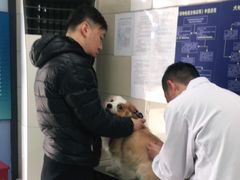 -申普宠物医院·眼科·心内科·影像科(普陀分院)