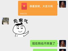 -圣宠动物医院·犬猫专科·影像中心·外科中心