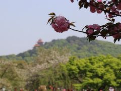 -东湖生态旅游风景区