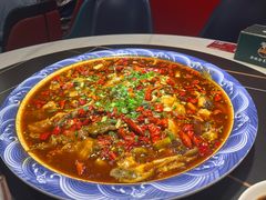 -新概念来凤鱼(璧山店)