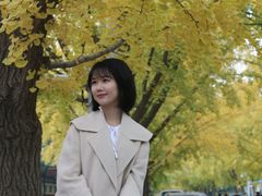 -三里屯东五街银杏大道
