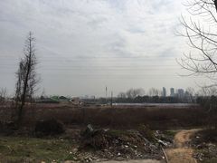 -滨江生态公园
