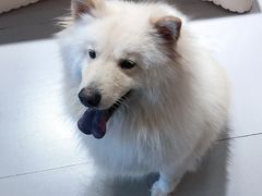 -肆兮眼镜·蔡司·徕卡战略合作店(大坪店)