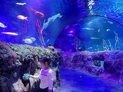 -沈阳海洋探索中心