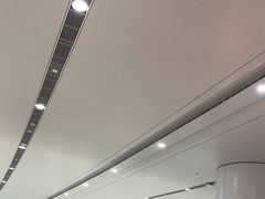 -麦当劳(北京大兴机场二层国内到达(安检外)店)