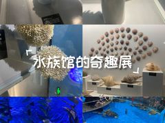-泉城欧乐堡海洋极地世界