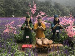 -广州市石门国家森林公园