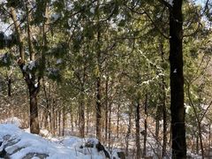 -阳台山自然风景区