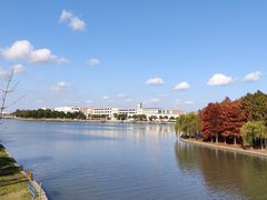 -南汇新城城市公园