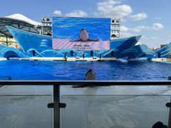 -上海海昌海洋公园