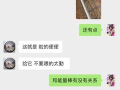 -翊宠yipet猫狗购宠庄园犬舍•猫舍