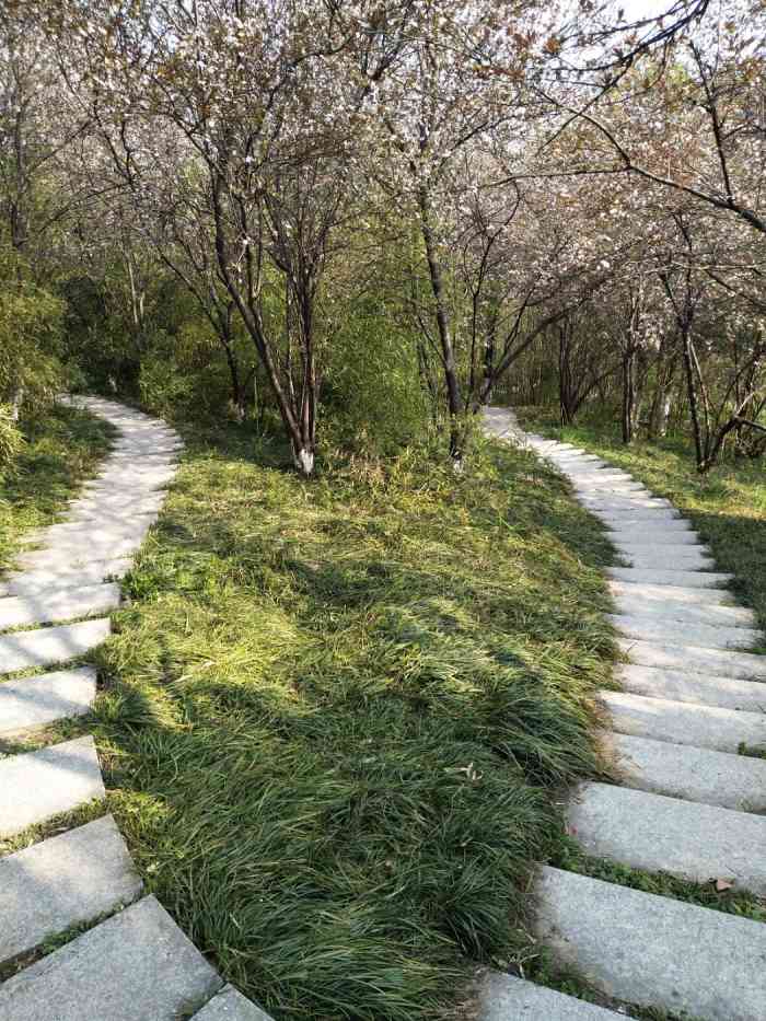 泰州市人民公园-"第一次到这个公园来玩,天气还是蛮热的,在.