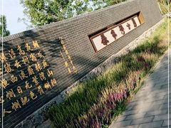 -张家湾公园