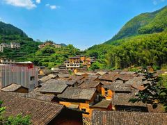 -杨家堂村