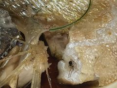 -金蝉食府(维吉奥广场店)