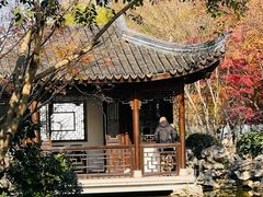 -秋霞圃