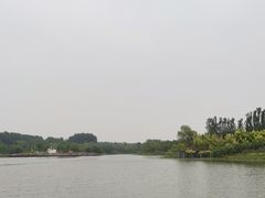 -东郊湿地公园