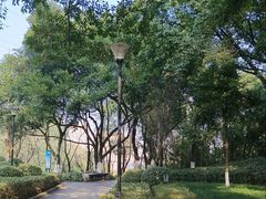 -龙头寺公园