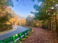 -严子陵钓台(富春江小三峡)