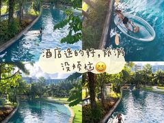 -亚龙湾热带天堂森林公园