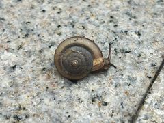 -回龙观体育文化公园
