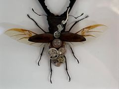 -中国湿地博物馆