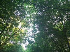 -艾溪湖湿地公园