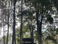 -青城山