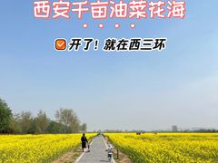 -汉长安城未央宫国家考古遗址公园