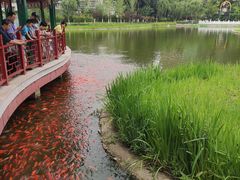 -西海子公园