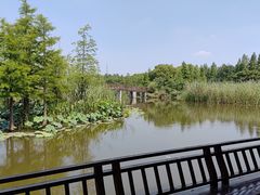 -同里国家湿地公园