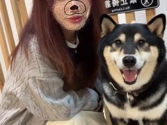 -柴迷FANS CLUB·柴犬狗咖·猫咖