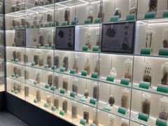 -广东中医药博物馆