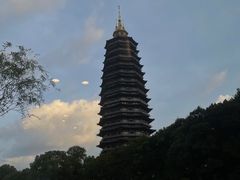 -听松楼·花园酒店·自助餐厅(红梅公园店)