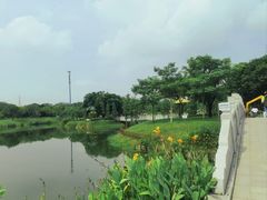 -王借岗森林公园