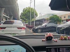 -鲨鱼皮汽车凹陷玻璃修复(静安店)