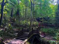 -凤栖山