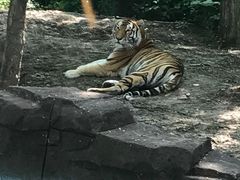 -哈尔滨北方森林动物园