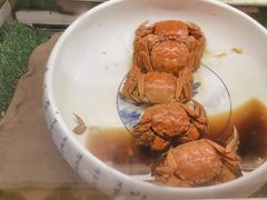-烟台金海岸希尔顿酒店·開自助餐厅
