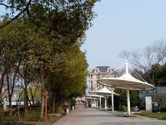 -新江湾城公园