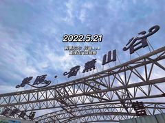 -紫颐香薰山谷景区