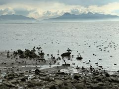 -深圳湾公园(南山区)