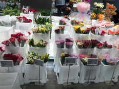 -盒马X会员店(王府井奥莱UP TOWN店)