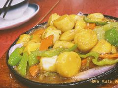 -东北酱大骨