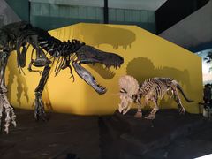 -湖南省地质博物馆