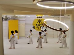 -勇气斑马·巴西柔术&跆拳道(浦东三林店)