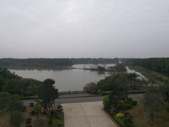-大湾区中央湿地公园