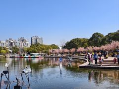 -新江湾城公园
