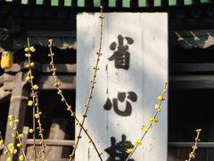 -西安化觉巷清真大寺