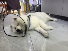 -中国体育彩票(竞彩店)